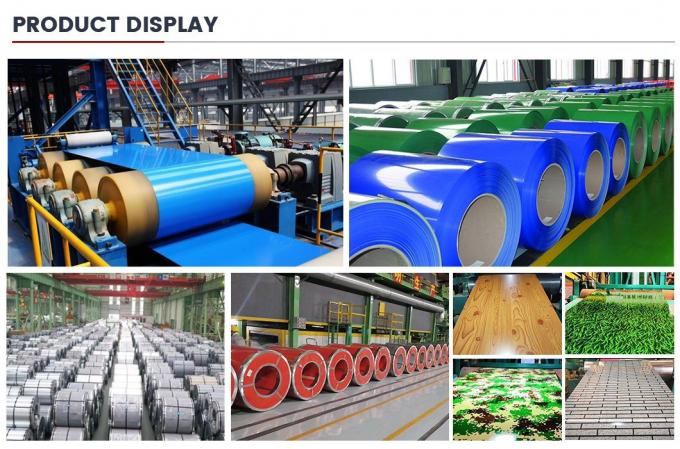 ASTM A653 SGCC 핫 디프 프리 페인트 밸런াইজ드 스틸 코일 8