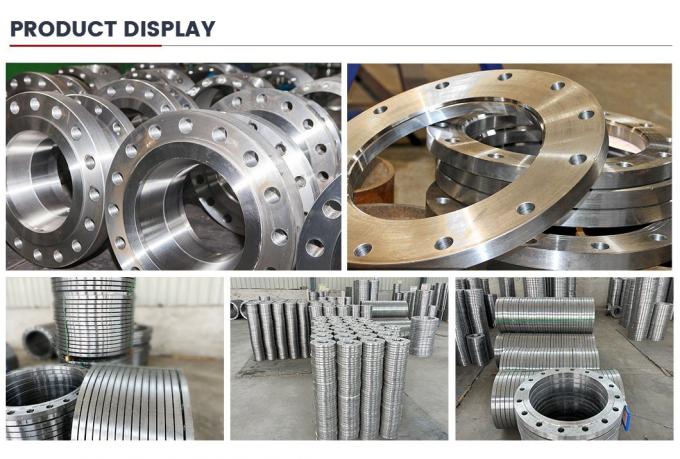 ASME/ANSI/DIN/GOST/BS EN RF/FF/Rtj 150#-2500# 스테인리스 스틸/연금 스틸 가조 Wn/So/Threaded/Plate/Socket/Blind Flange 11